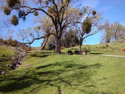 DSCN0063