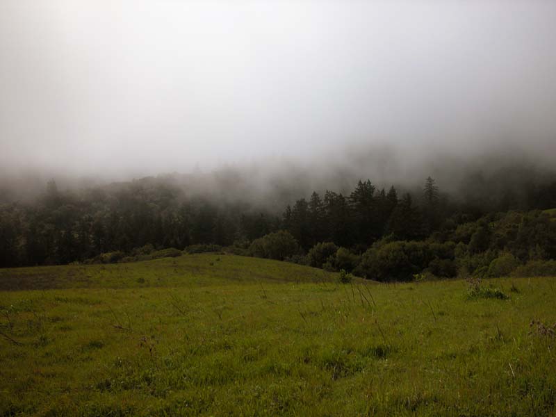 DSCN0002