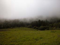 DSCN0002
