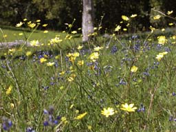 DSCN0730A