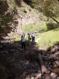 DSCN0743A