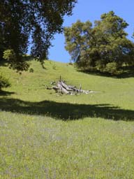 DSCN0752A