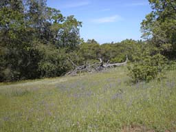 DSCN0885
