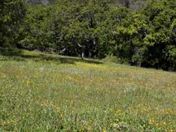 DSCN0896