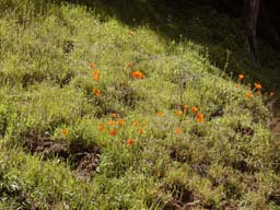 DSCN0914