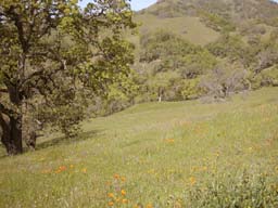 DSCN0925