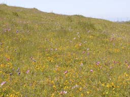 DSCN0948