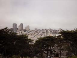 DSCN0001