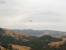 DSCN1142
