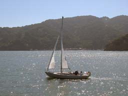 DSCN1239
