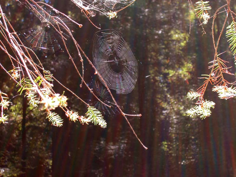 DSCN0051