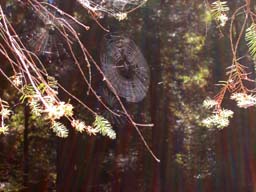 DSCN0051