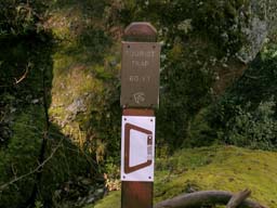 DSCN1963