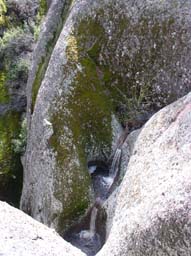 p2280080