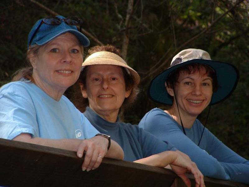 The Girls on the Bridge