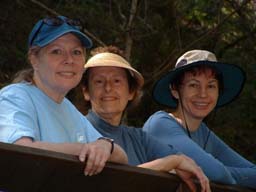 The Girls on the Bridge